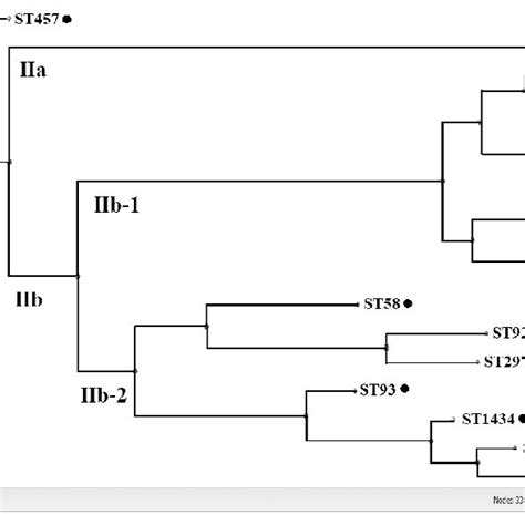 Phylogenetic Tree Of UPEC Strains Built On The Basis Of Artificially