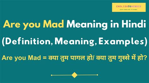 Are You Mad Meaning In Hindi Meaning Of Are You Mad In Hindi Are