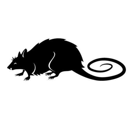 Black rat vector illustration Vector | Free Download