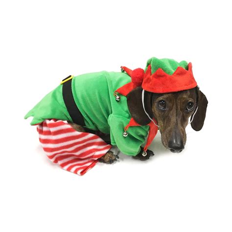 Midlee Dog Elf Costume – Omorog Raw Pet Food