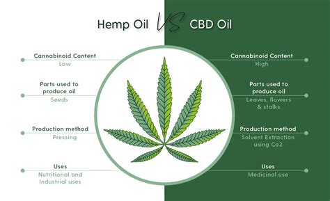 Hemp Oil Vs Cbd Cannabidiol Whats The Difference Vibes Cbd