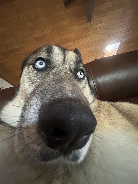 He remembers : r/NamFlashbacks