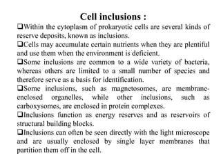 Bacterial cytology cell inclusions | PPT