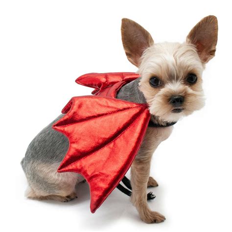 Dragon Wings Dog Costume by Dogo | BaxterBoo