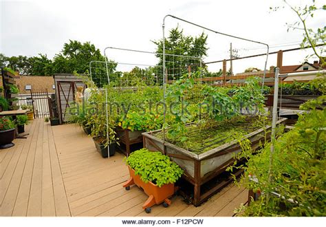 Rooftop Vegetable Gardens Hawk Haven