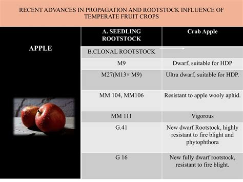 NATIONAL AND INTERNATIONAL SCENARIO IN FRUIT PRODUCTION, IMPROVED