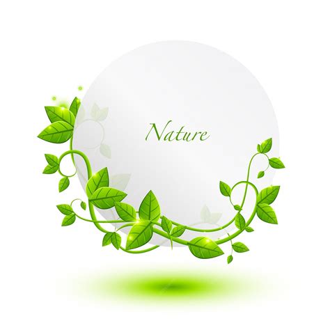 premium vector leaf template design