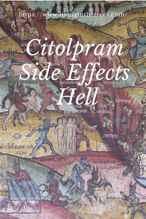 Citalopram Side Effects Hell – Living Life in the Trees