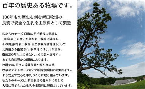 【楽天市場】【ふるさと納税】needsオリジナルチーズ モッツァレラ15kg 冷凍 シュレッドタイプ【十勝幕別町】 【 加工食品 乳製品