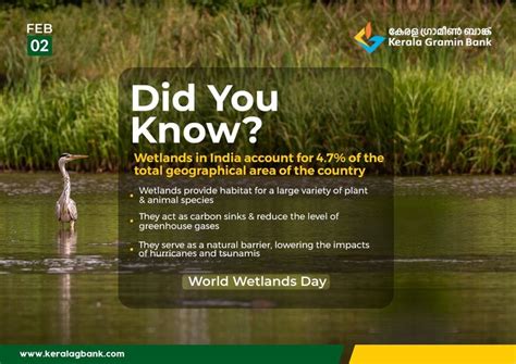 Did You Know Wetlands In India Account For 4 7 Of The Total