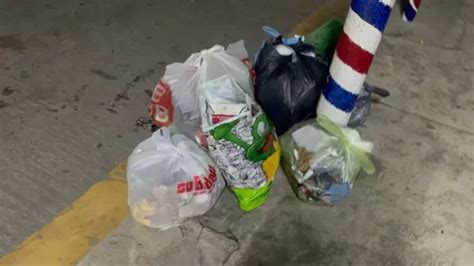 Discricar ajustará recolección de basura en Poza Rica La Jornada Veracruz