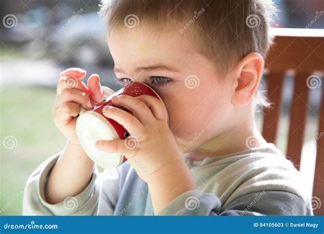 Baby Boy Drinks Red White Mug Outdoor Natural Light Stock Image