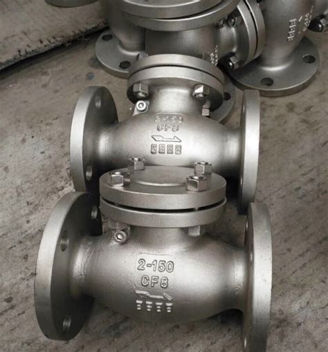 Cast Stainless Steel Flanged Swing Check Valve China Swing Check