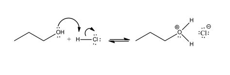 11. [Elimination Reactions] | Organic Chemistry | Educator.com