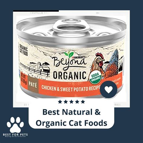 What S The Best Natural Organic Cat Foods BestForPets Org