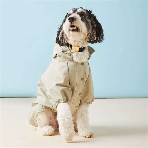 Sage Dog Raincoat – The Foggy Dog