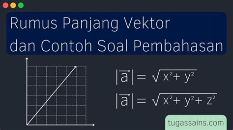 Rumus Dan Contoh Soal Panjang Vektor