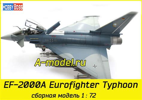 EF 2000A Eurofighter Typhoon 1 72 Hobby Boss 80264 купить с доставкой