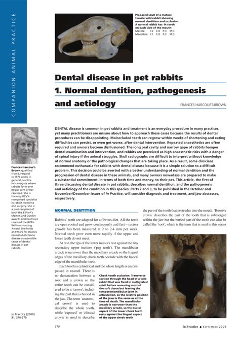 Pdf Dental Disease In Pet Rabbits 1 Normal Dentition Pathogenesis