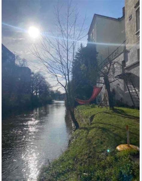 WG Zimmer Mit Garten An Der Donau Ab Dem 1 5 24 Wohngemeinschaft In Ulm