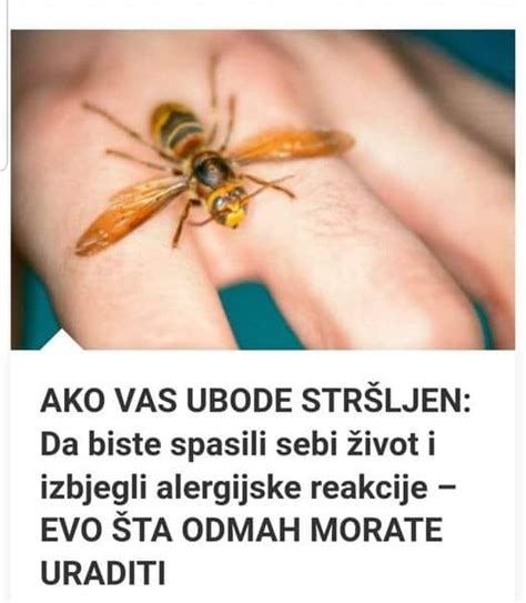 AKO VAS UBODE STRŠLJEN Da biste spasili sebi život i izbjegli