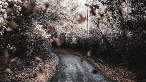 Wallpaper Cloud Plant Natural Landscape Road Surface Asphalt