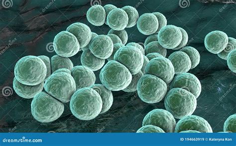 Bacterie Streptococcus Pneumoniae Stock Illustratie Illustration Of