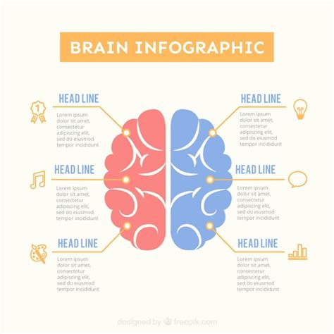 Gehirn Infografik Vorlage In Pastellfarben Kostenlose Vektor