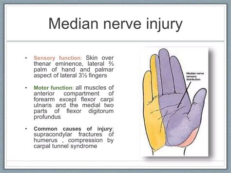 Peripheral nerve injuries | PPT