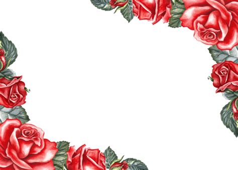 Red Rose Border Pngs For Free Download