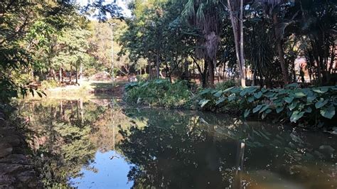 Ap S Melhorias Parque Da Biquinha Reaberto Ao P Blico Servi O