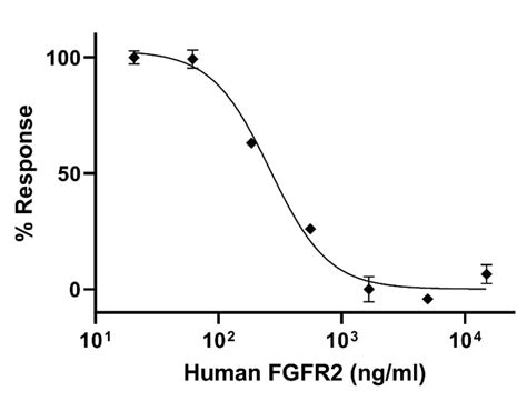 Recombinant Human FGFR2 protein Active ab287927 アブカム