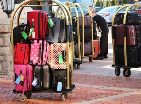 Difference Between Luggage and Baggage | Compare the Difference Between Similar Terms