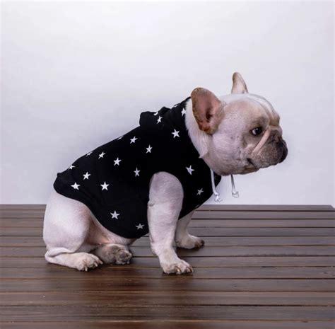 French Bulldog Hoodies - Frenchie Globe Shop