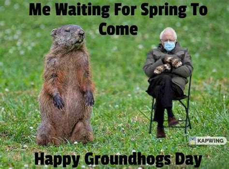 Collection Of Groundhogs Day Memes 2024 Guide For Geek Moms