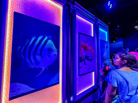 Photos Meet Live Action Ariel From The Little Mermaid In Disney