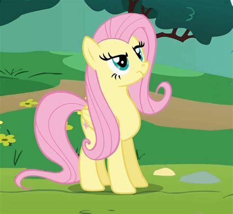 My Little Pony S Animados De Fluttershy En My Little Pony