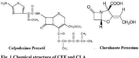 Figure 1 From Simultaneous Estimation Of Cefpodoxime Proxetil And Clavulate Potassium Combined