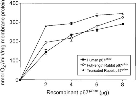 Functional analysis of recombinant full-length and truncated rabbit p67 ... 