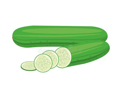 Cucumber Vegetable Nutrition Pictogram Stock Vector Illustration Of