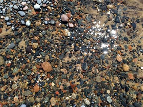 El Mar De Madera Del Agua De Los Detalles De Los Guijarros Agita Los