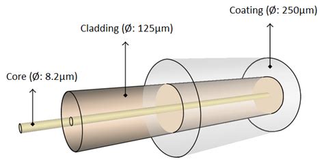 Legkevésbé Ale Lényegesen Single Mode Optical Fiber Kivégez Csipesz örökség