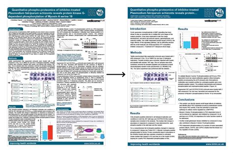 Pin by Nisha C C on Poster presentation template | Scientific poster ...