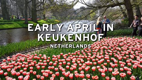 Keukenhof Tulip Gardens Wiki | Fasci Garden