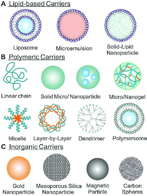 Schematic Illustration Of Various Types Of Micro Nanocarriers Used For