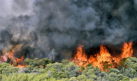 Grecia En Llamas Enormes Incendios Forestales Dejan Atrás Ruinas Y