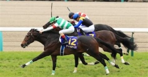 皐月賞 中山競馬場 芝2000m｜ゆずマンの夏｜note