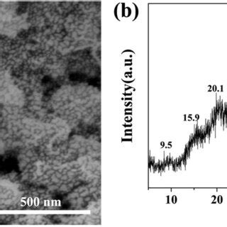 A Sem Image And B Xrd Pattern Of The Polyaniline Modified Nd