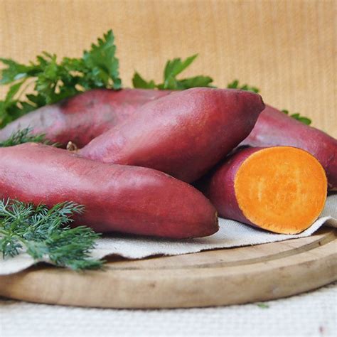 Сладкий картофель (батат) - купить для посадки.