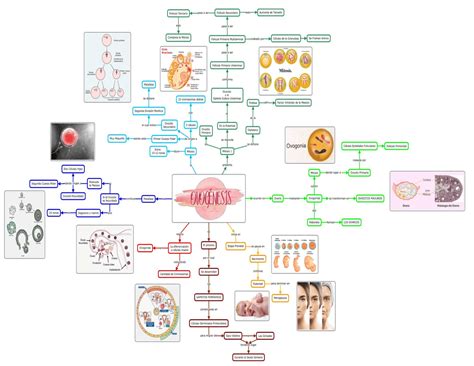 Arriba Imagen Bosquejo Mapa Mental Abzlocal Mx